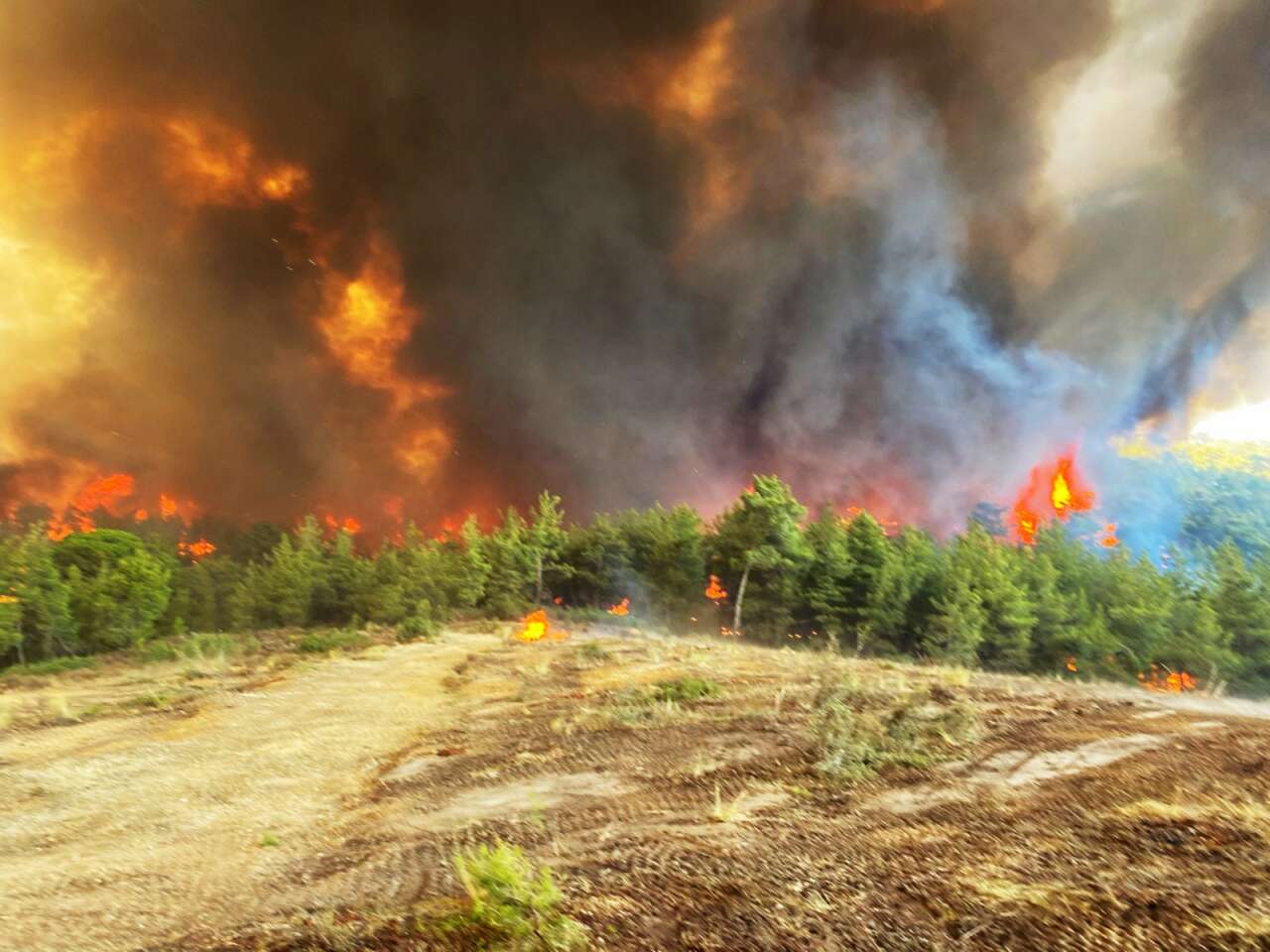 Muğla’da Orman Yangınlarının Acı Tablosu: 3 Yılda Yaklaşık 6 Bin Hektar Alan Kül Oldu 7